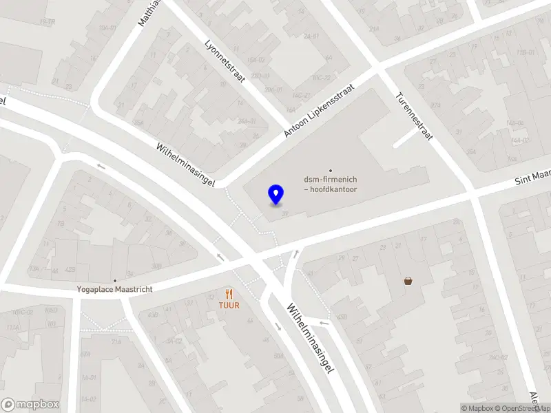 DSM Venturing B.V. Maastricht
