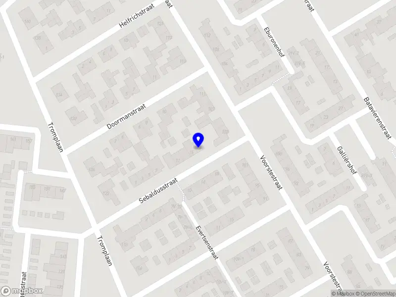 Hans van Holstein Management