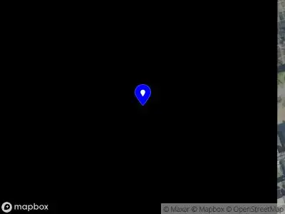 Beauties by Rachel Oss