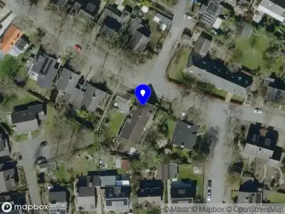 Riky van der Linden Stamrecht B.V.