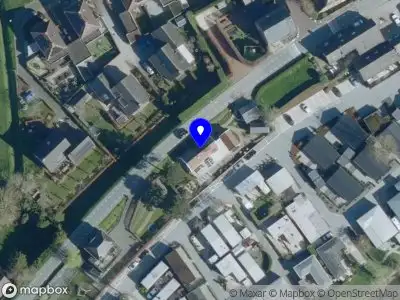 Nieuw bedrijf Gunther Hobo Bassist