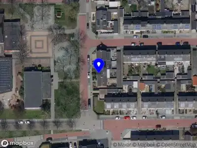 Oud Bruin en Jong Belegen