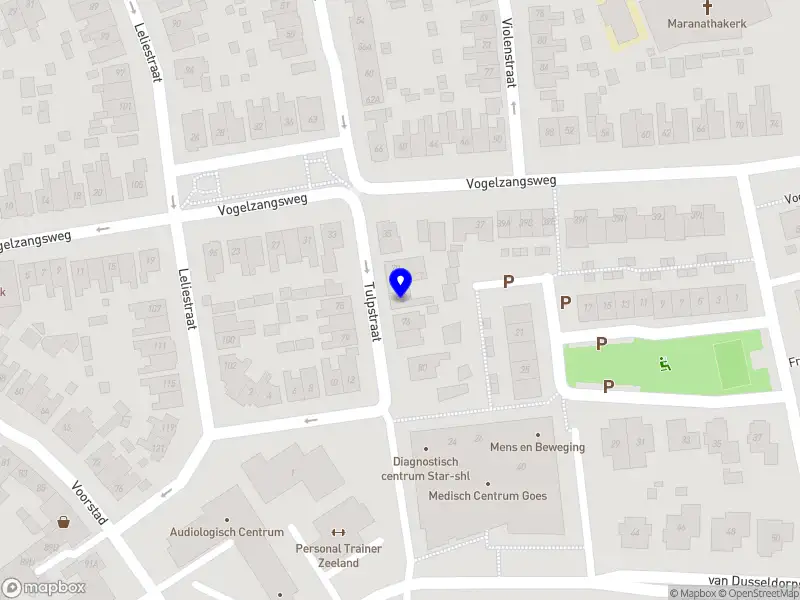 Sjoelvereniging Goese Schuivers