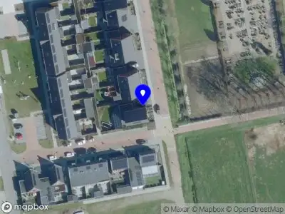 Volk Coaching & Consulting