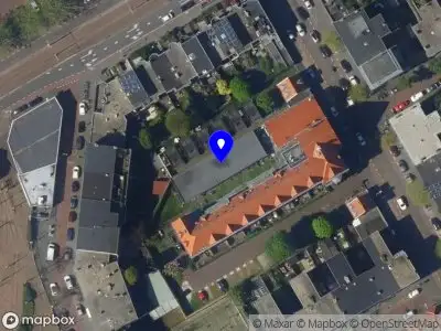Wieke Terpstra Beeldend Kunstenaar 's-Gravenhage