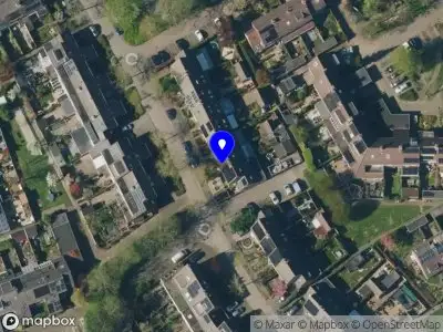 puur in beeld ben de haas