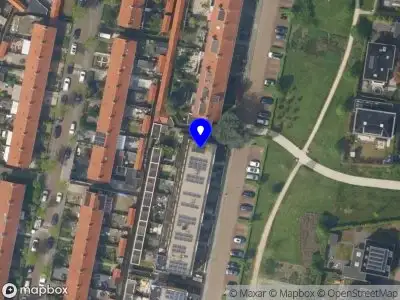 Nieuw bedrijf Rogier van Male Florale vormgeving & Productpresentatie