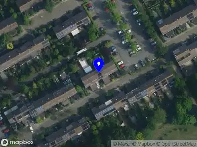 Indigo International