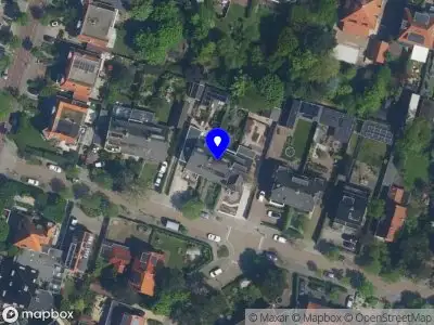 Slangenkruid Zandvoort