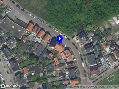 Elsevier van den Born