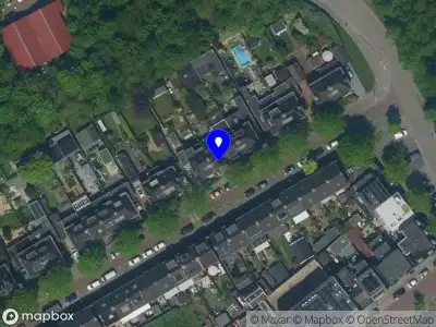 FieldMouse Party & Decorations