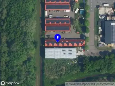 Didi Rosita v/d Velde / Beeldend kunstenaar Amsterdam