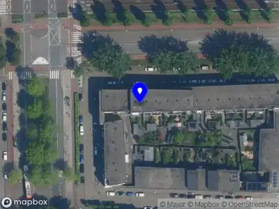 Arzu Kokeng Amsterdam