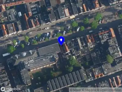 Li Zhang Praktijk voor Traditionele Geneeskunde en Acupunctuur Amsterdam