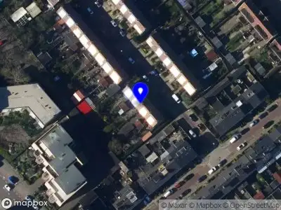 Sini Internet Projecten Den Helder