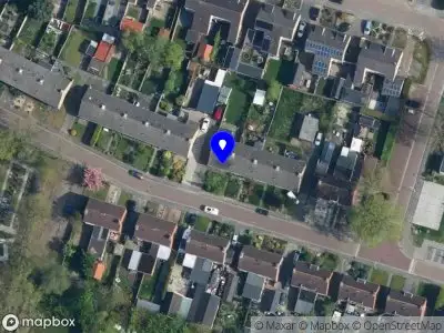 Boston Terrier Club Nederland