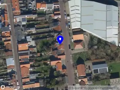 Nieuw bedrijf Mushing -Holland