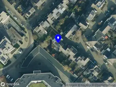 Bonsai Vereniging Overijssel