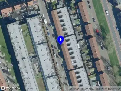 Mundikat 's-Hertogenbosch
