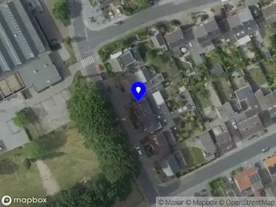 Hondenclub "Dingo" Heel