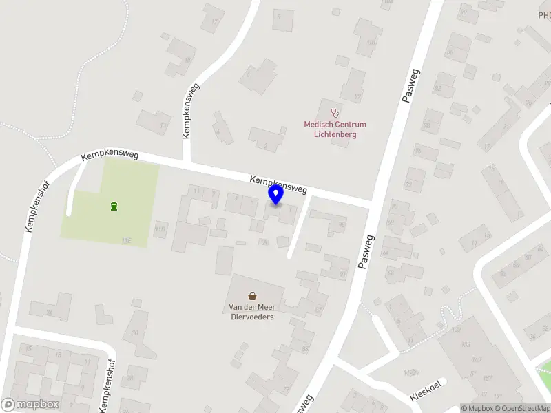 Dames Carnavalsvereniging de U.N.S.-'kes