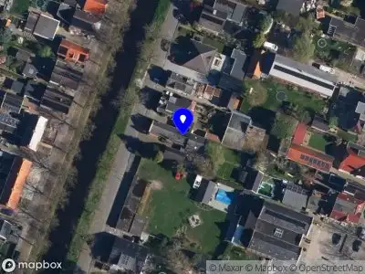 Federatie Dogachtigen