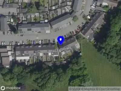 Vogelver. Zang en Kleur