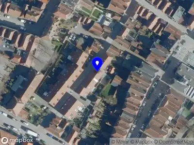 Vogelver. De Edelzanger