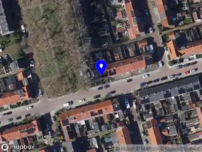 Eikels Worden Boomen