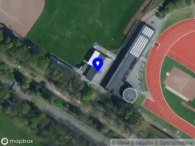 Honk- en Softbalvereniging The Flags