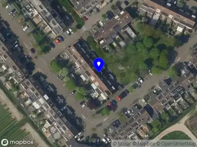 Bonsai Vereniging Zuid-Holland