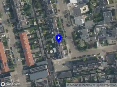 B.C. Woodpeckers Houten