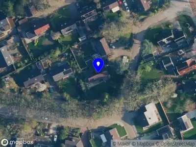 Filmfestival Claire Obscur