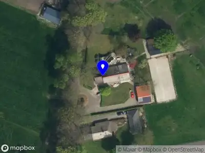 Stichting dans Internationaal