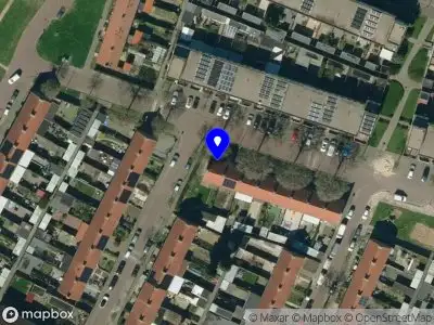 Alex Timmer Arnhem