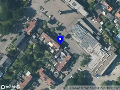 T - Flowery Venlo