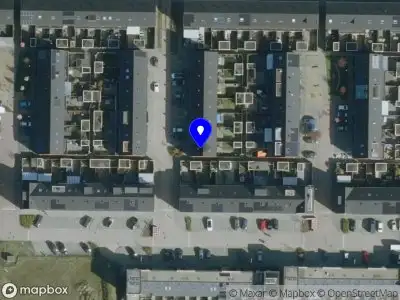 Bianca Vugts, Training en Advies