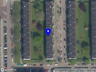 Zoo-Elements Video Marketing