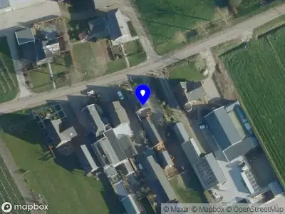 Petra van Driel Publicaties