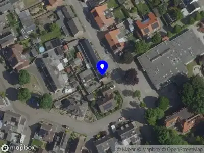 Harpiste Loes van Dijk