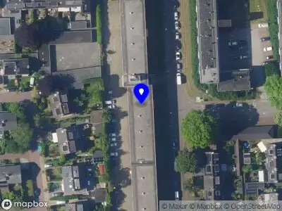Abrikoos BUSSUM