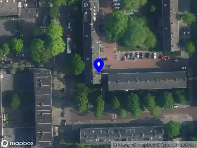 flyin pig Amsterdam