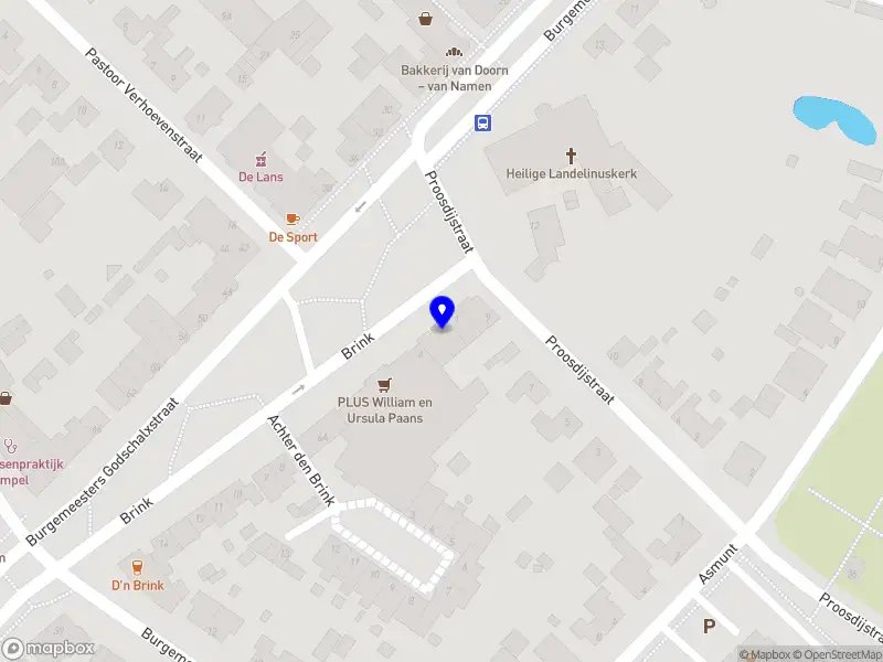 Follow the Dog coaching