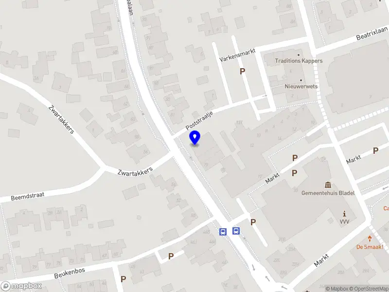 Kids Talent Europalaan.