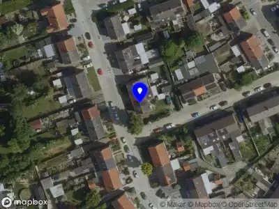 Special Wolf Construction