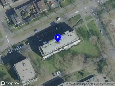 Trimsalon Dogzzz.. & More