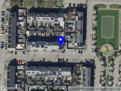 Project Consulting & Support