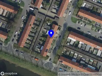 Dalmar Taco Mexicano