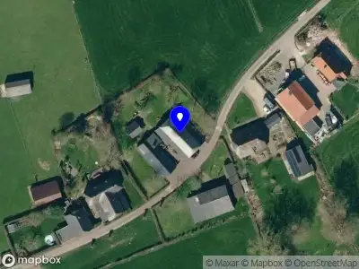 Linda van Nimwegen, Kunst op Lijn