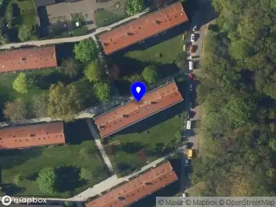 The Richie Lohy Experience